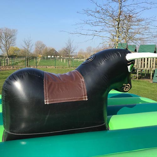 Bouncy castle bull