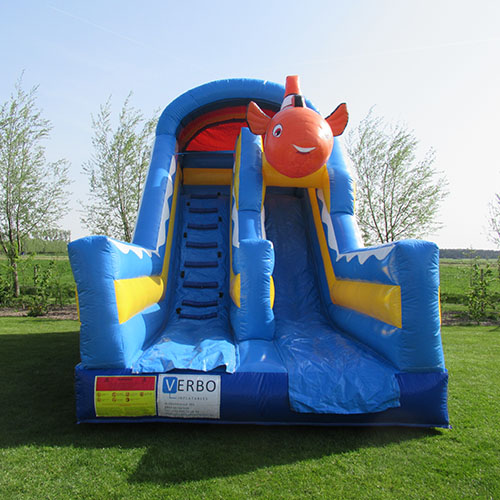 Bouncy castle aqua fun